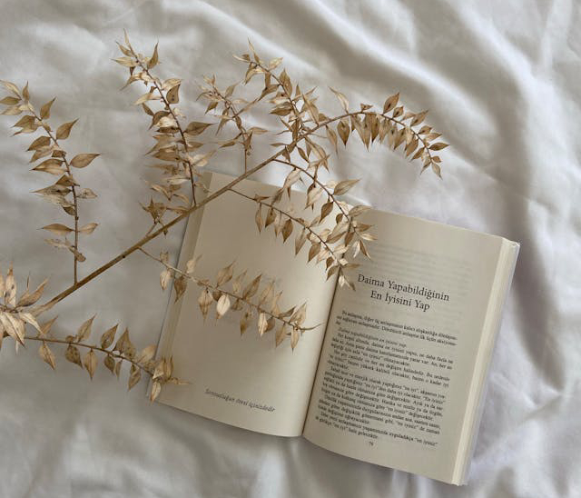 The Art of Balancing Travel and Wellness: Tips for a Healthy Journey